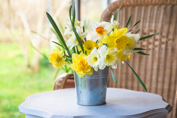 Beautiful bunch of white and yellow daffodils in bucket on white vintage table with wicker chair outdoors © stsvirkun