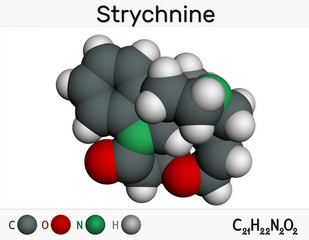 Strychnine, C21H22N2O2,  molecule. It is monoterpenoid indole alkaloid, is from the seeds of the Strychnos nux-vomica tree. Used for destroying rodents. Molecular model