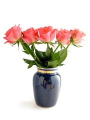 pink roses posy close up