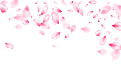 Spring tree flowers parts, airy flying petals