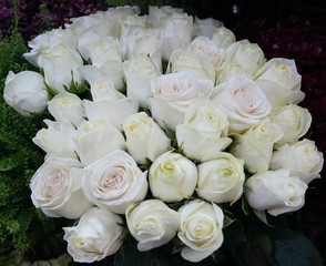 White Roses Background. Variety of white roses in beautiful bouquet. Bridal bouquet of white rose in bright colors in flower shop in market.