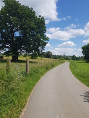 road in the countryside