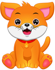 Cartoon funny dog on white background