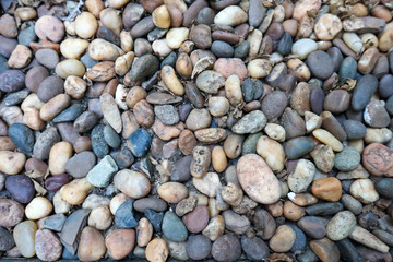 Stone and dry leaves texture background.