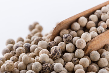 white peppercorns in wooden scoop on white background