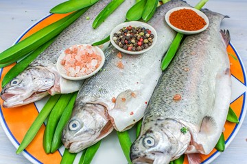 Raw river trout . Fresh sea fish . healthy food, vegetarian.