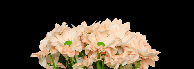 Lovely yellow orange flower bouquet present isolated