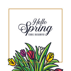 Hello Spring Tulips illustration floral frame square background