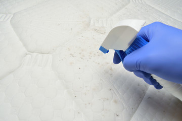 Cleaning a mattress fabric with a foam stain remover. Hand pulls a trigger. Foam cleaner spray.