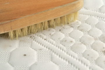 Cleaning mould stains from the mattress.
