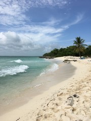 Beach impression on a Caribbean coast