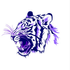 Tiger head illustration. Vector of animals.