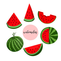 Summer set with watermelon berry and slice on white background. Isolated illustration with colorful cute fruits. Food concept. Design for invitation, poster, card, fabric, textile.