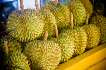 Group of fresh durians in the durian market. King of fruits, bad smelling fruit
