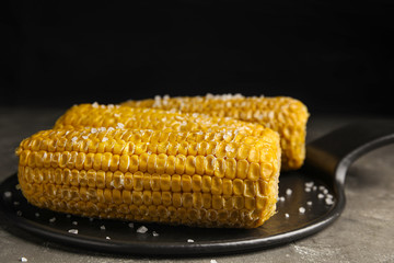 Delicious boiled corn with salt on grey table