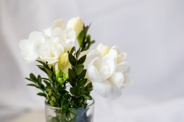 white freesia flowers in a glass