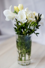 white freesia flowers in a glass