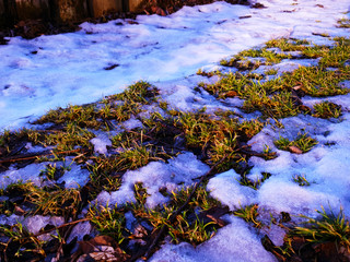Green grass and white snow