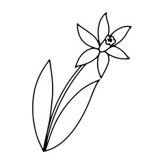 Cartoon icon with colorful flower daffodil outline doodle on white background for wallpaper design. Ornament illustration. Element decorative floral easter. flower sketch on white background