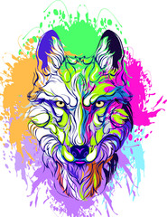 The colorful wolves