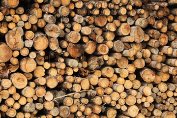 Stacked firewood as background. Heating house in winter