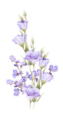 Naklejka na ściany i meble Hand drawn watercolor bouquet of picturesque blue flowers and blue eustomas (bluebells) isolated on a white background. Floral botanical illustration for wedding invitations, cards, patterns