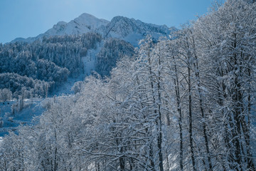 mountains in winter