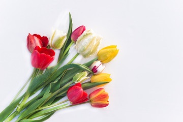 Bouquet of fresh multicolored tulips on white background; Space for text, flat lay