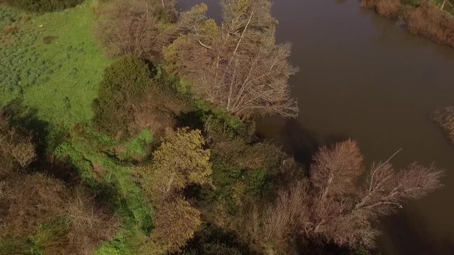 aerial view of the overflight of the lake and coghinas river in sardinia wrapped in trees and agricultural fields with the drone