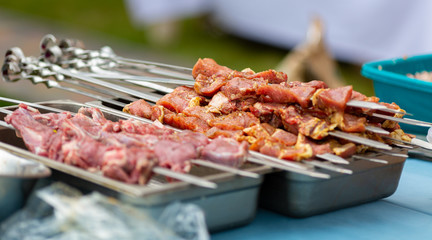meat put on skewers lies in bowls before cooking meat over a fire