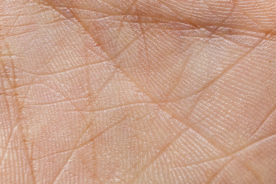 human skin texture in the palm of your hand, light lodoni skin with life lines, high detail and high resolution