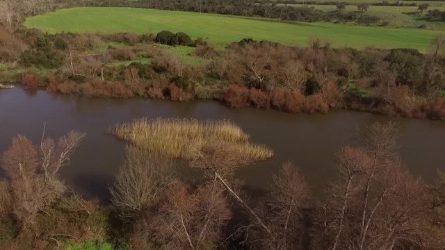 aerial view of the overflight of the lake and coghinas river in sardinia wrapped in trees and agricultural fields with the drone
