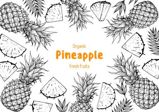 Pineappple hand drawn package design. Pineapple frame template. Vector illustration. Pineapple sketch for menu design, brochure illustration Ink design. Pattern illustration. Can used for package