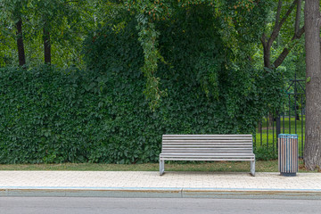 A wooden bench and an urn in a park against a green curly liana on a fence.
