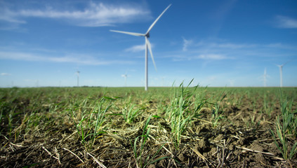 Molino eolico, energia renovable, verde campo