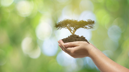 Clean energy, care of the environment. Healthy environment