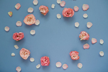 Frame of pink roses and petals on a blue background.