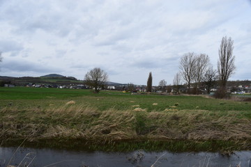 Sumpflandschaft in den Thürer Wiesen