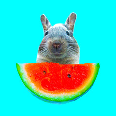 Contemporary art collage. Funny bunny and watermelon piece