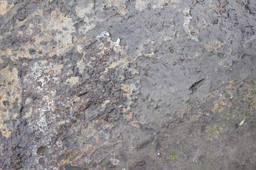 the texture of the rust