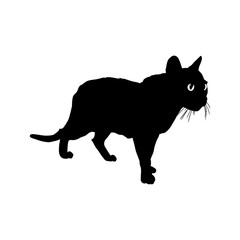 Black silhouette of walking cat. isolated on white background. hand drawn.