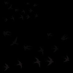 birds fly in two flocks on a black background