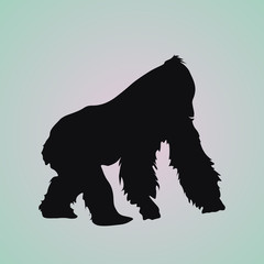 Vector image of a silhouette gorilla on a white background © Artem