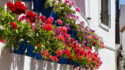 Fototapeta na wymiar Fiesta de los patios, Cordoba, Spain. Houses decorated with flowers.
