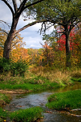 Fototapeta na wymiar A small creek flows through a landscape of autumn colors.