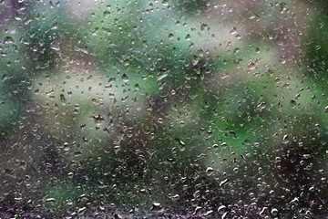 rain drops on the window