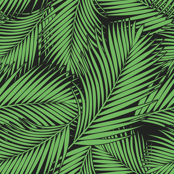 Green tropical palm leaves texture on dark backdrop