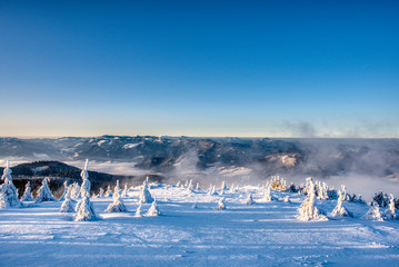 Gorgeous winter landscape in the mountains with snow on trees at sunrise, slovakia Velky Choc