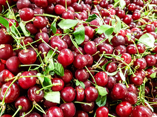 A lot of cherries are on the counter of the fruit store.