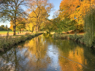 Fototapeta na wymiar Autumn colours in trees in a public park centre with reflections in the still waters of the canal.